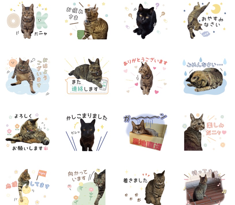 ココナラで作ってもらった愛猫のLINEスタンプ